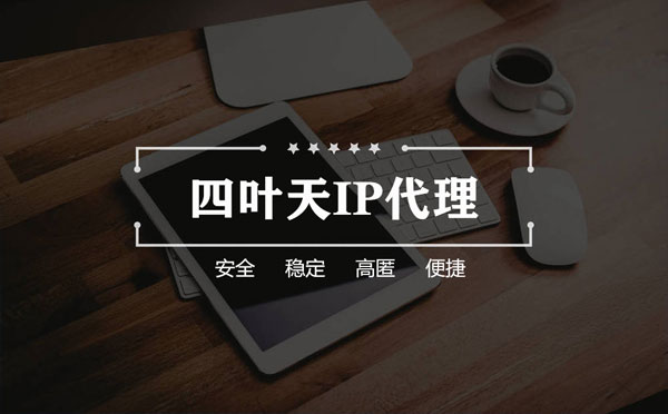 【台州代理IP】如何快速搭建代理IP？怎么检查代理的效果？